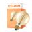 Osram Vintage 1906 LED E27 Globe Fadenlampe Gold 95mm 5.8W 470lm - 822 Extra Warmweiß | Dimmbar
