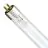 Philips T5 Short UV - C 6W - Ultraviolett | 21cm