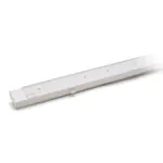 Lichtband